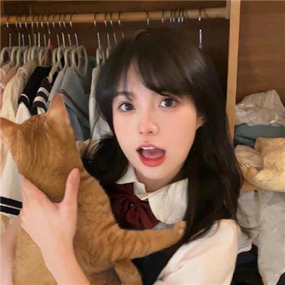 燕子盗